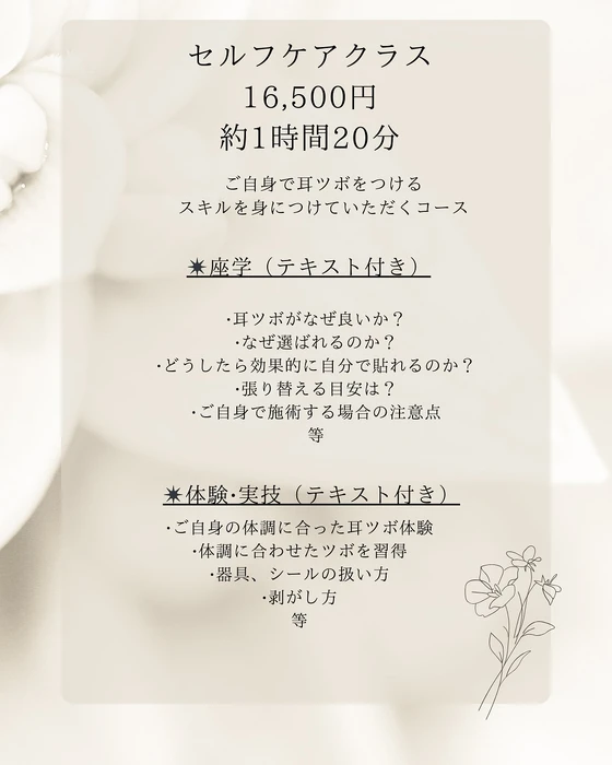 画像251