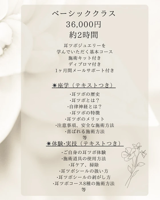 画像261